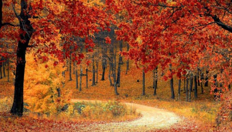 Herfstvakantie Montafon
