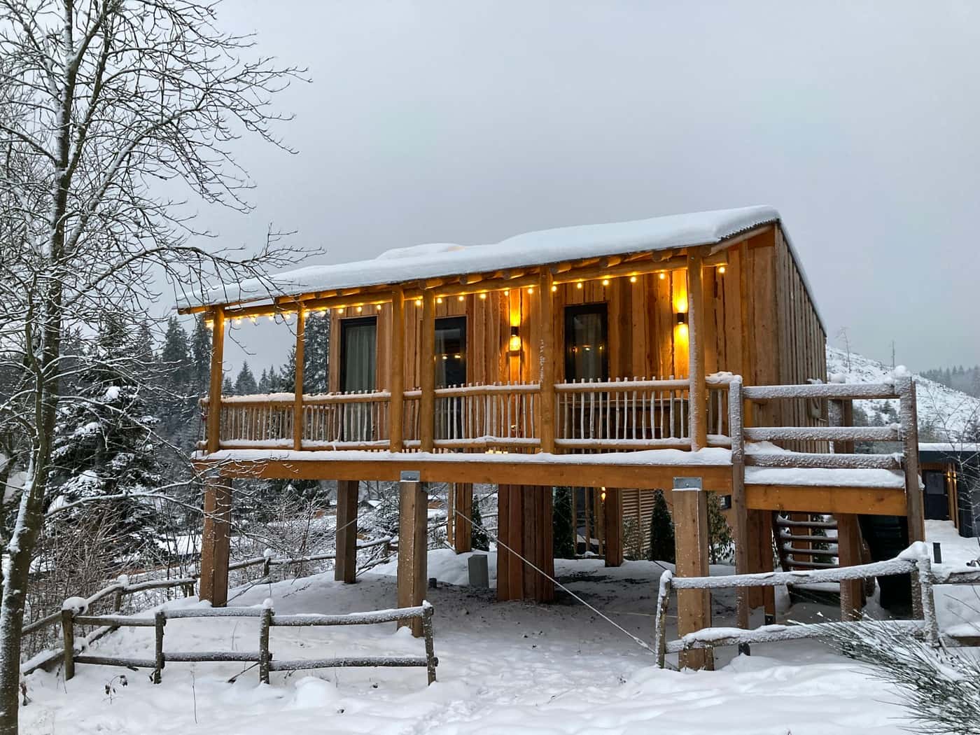4P boomhut met glijbaan