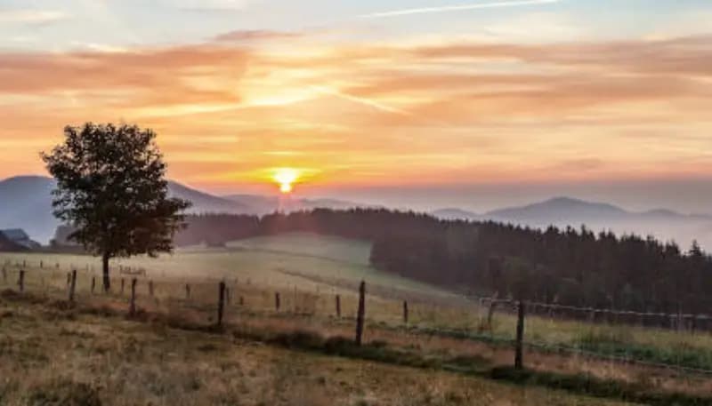 Voorjaarsvakantie Winterberg