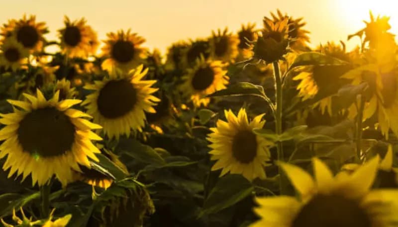 Meivakantie Winterberg