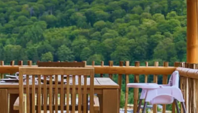 Vakantie in een boomhut