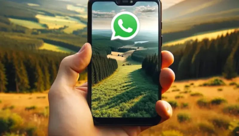 WhatsApp nieuwsbrief